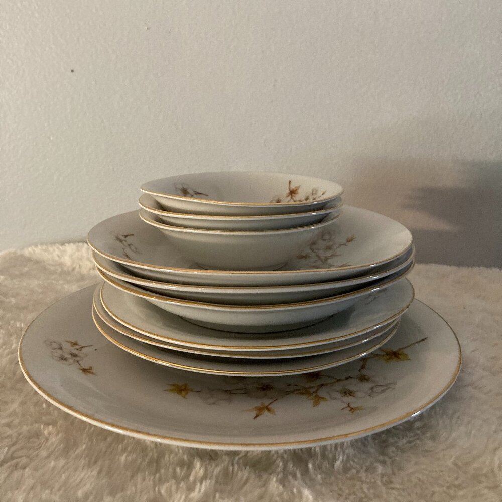 Winterling Bavaria Germany Pattern WIG7 (10) Pc Dinnerware